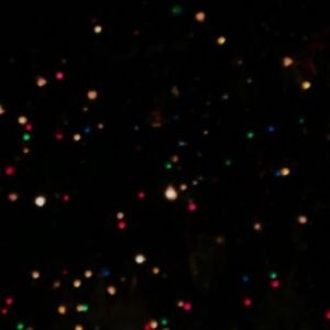 Meet your Posher, Maddie